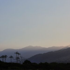 Ocumare Dusk Haze, Venezuela